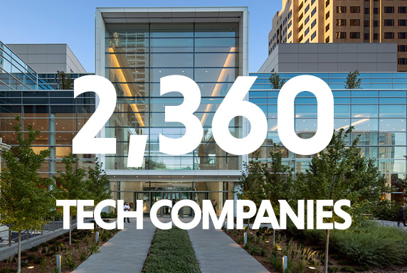 05_Tech-Company-Promo