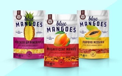 Milwaukee Startup Blue Mangoes Selected to Target Accelerator Program