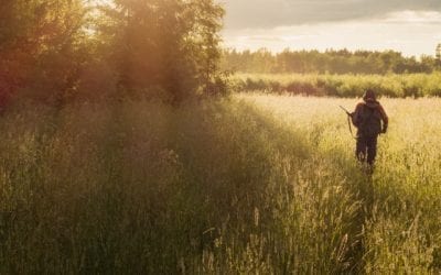 Milwaukee Startup Field to Freezer Launches to Help Hunters Process Their Meat